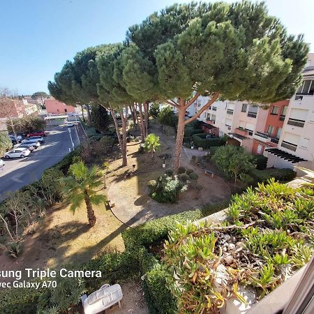 Coquet Studio Centre Port Cap D'Agde Ngoại thất bức ảnh